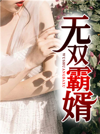 主角是叶枫苏映雪的小说在哪看 《无双霸婿》小说阅读入口