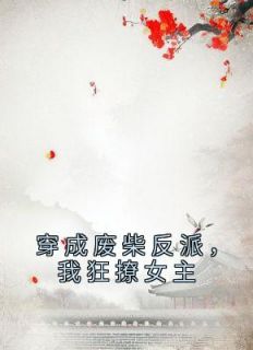 主角是傅天凌苏幻雪的小说 《穿成废柴反派，我狂撩女主》 全文精彩试读