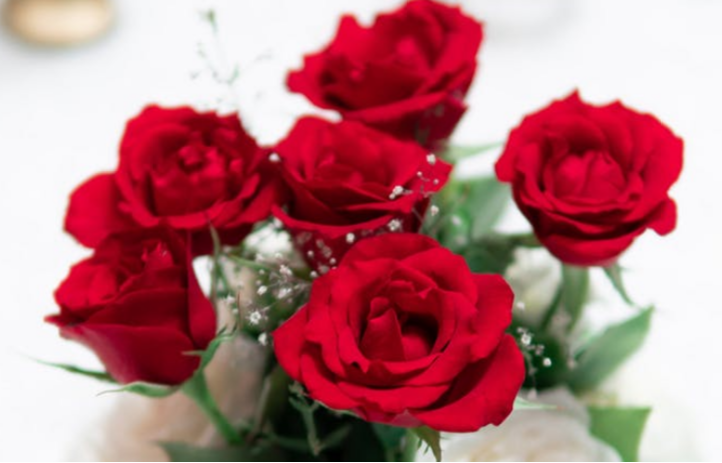 2朵玫瑰的花语及寓意：这世界只有我俩！